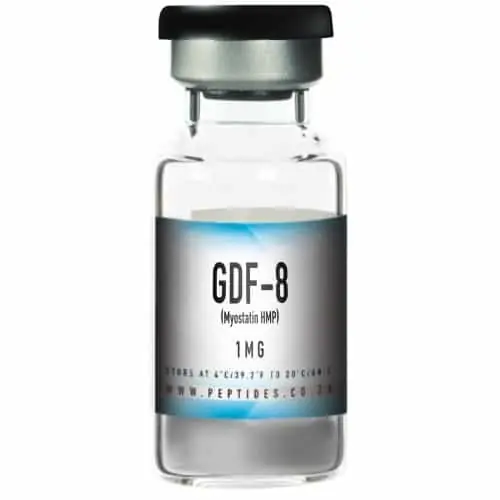 GDF-8 (Myostatin HMP) 1MG per vial
